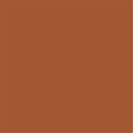PACON CORPORATION Pacon 1506492 9 x 12 in. Heavyweight Construction Paper; Brown - Pack of 100 1506492